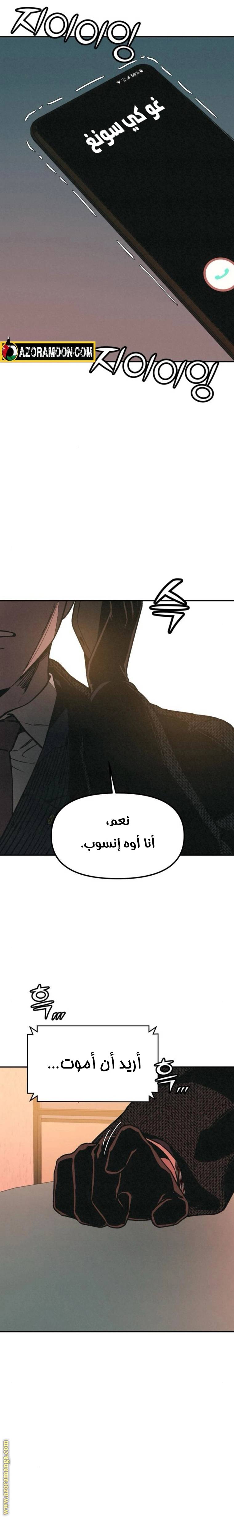 الصفحة 31