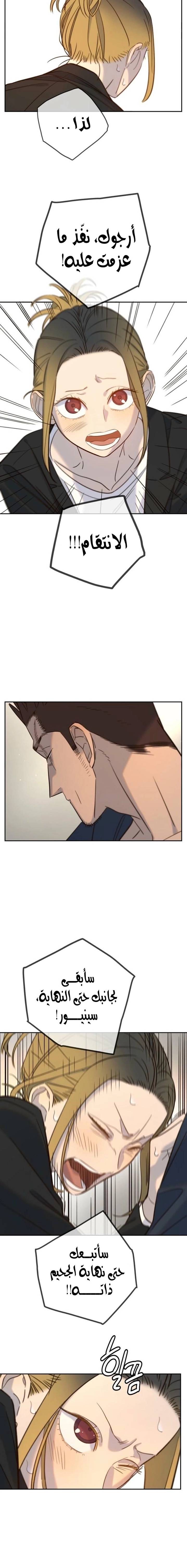 الصفحة 18