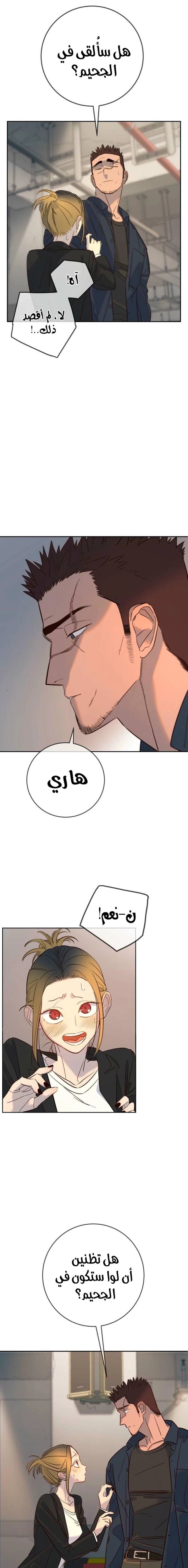 الصفحة 19