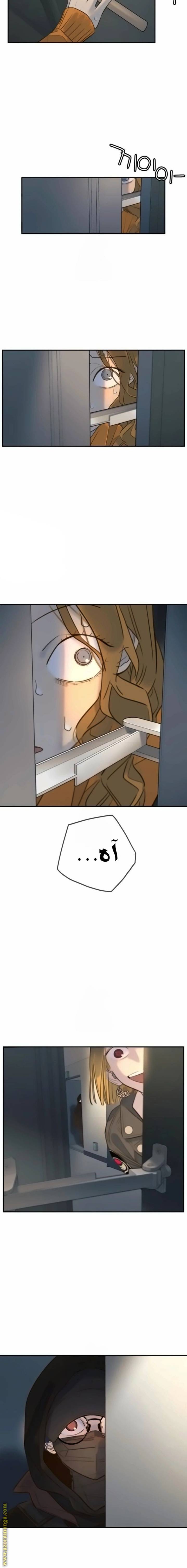 الصفحة 11