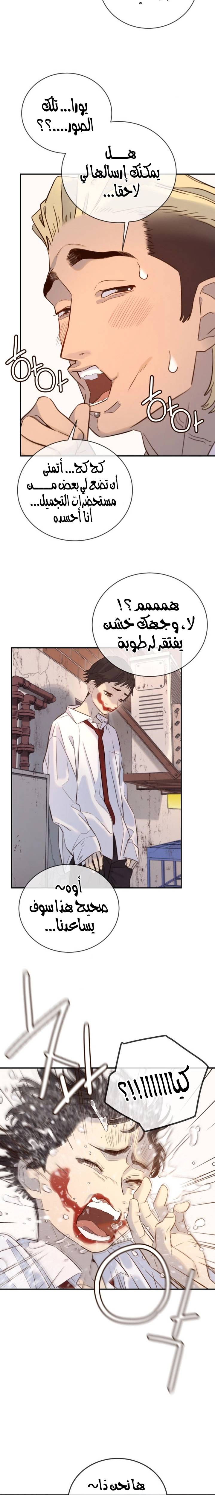 الصفحة 26