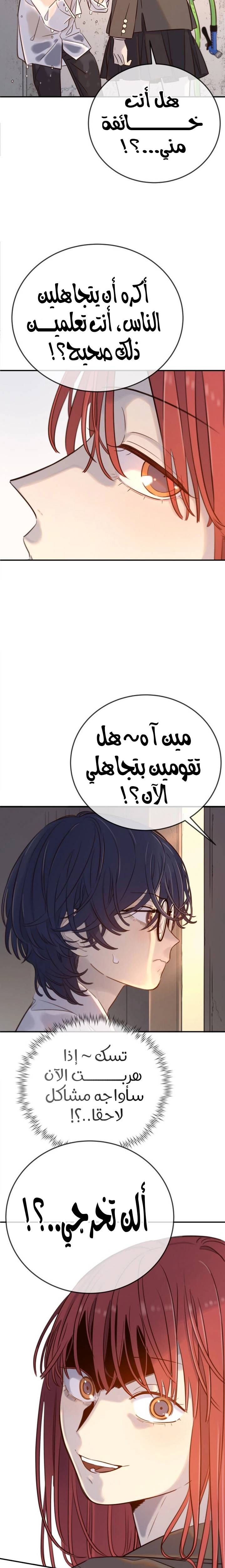 الصفحة 29