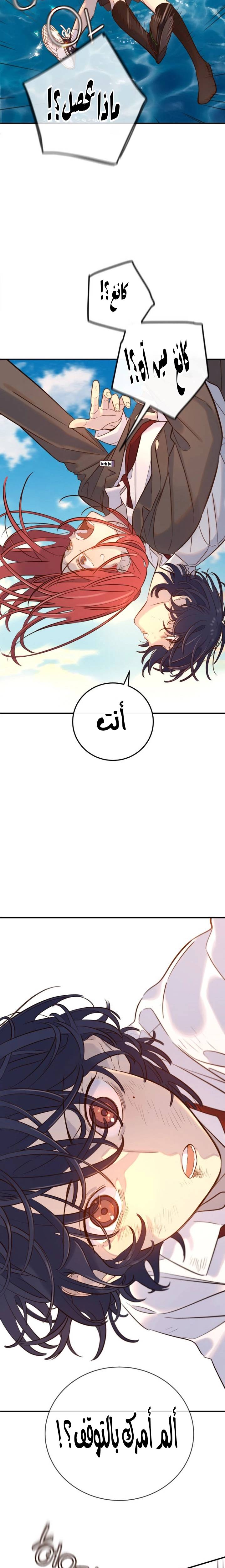 الصفحة 41
