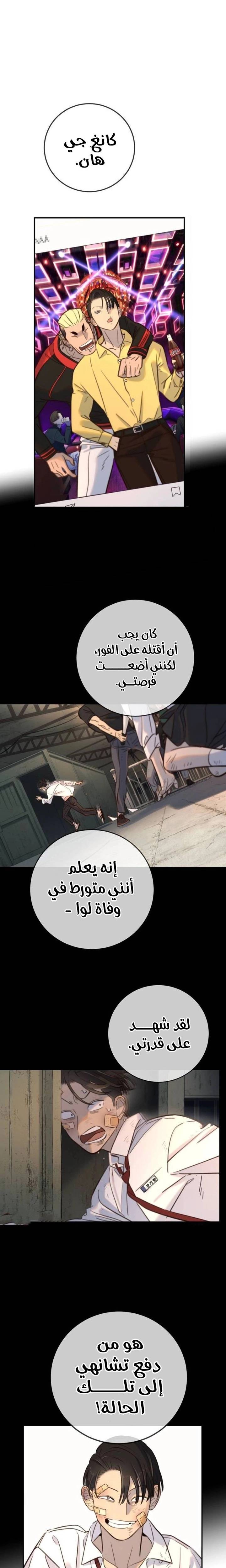 الصفحة 14