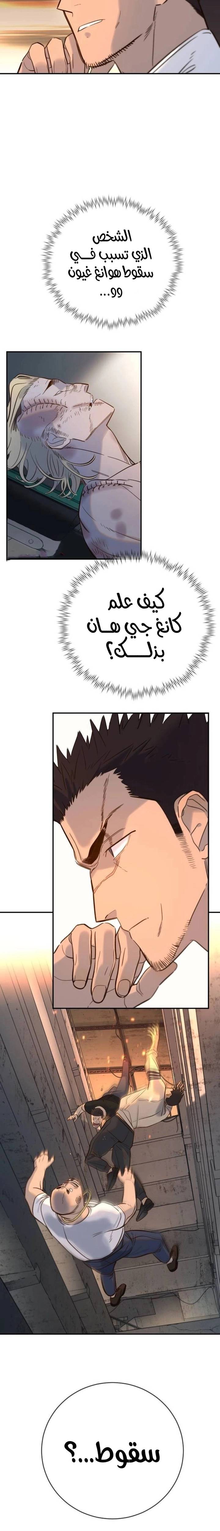 الصفحة 17