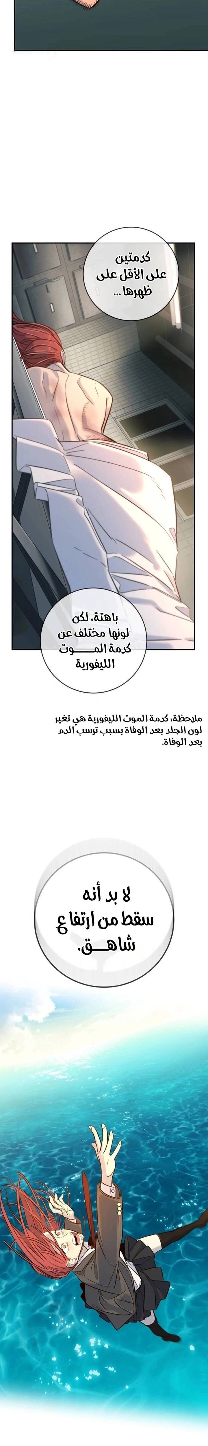 الصفحة 24