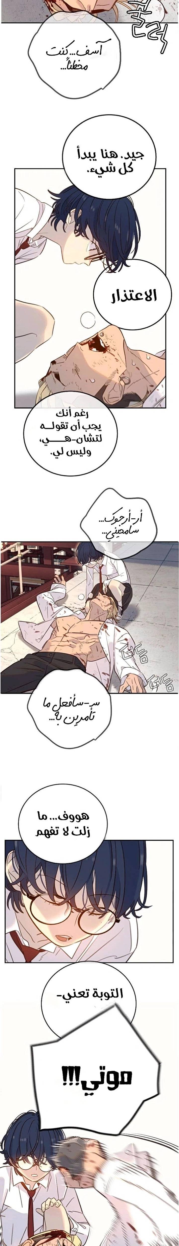 الصفحة 14