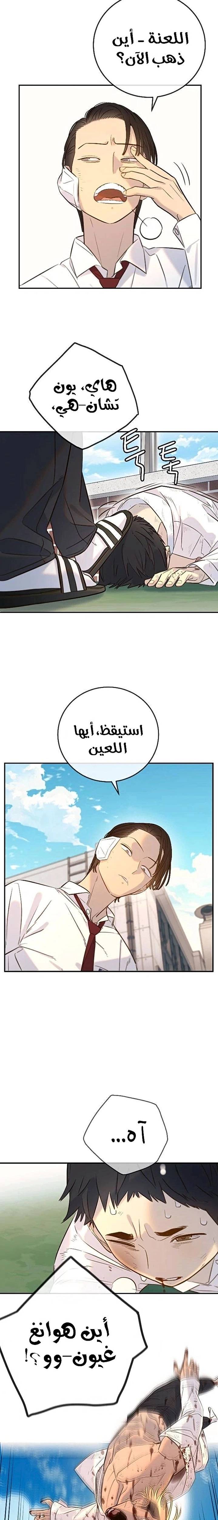 الصفحة 17