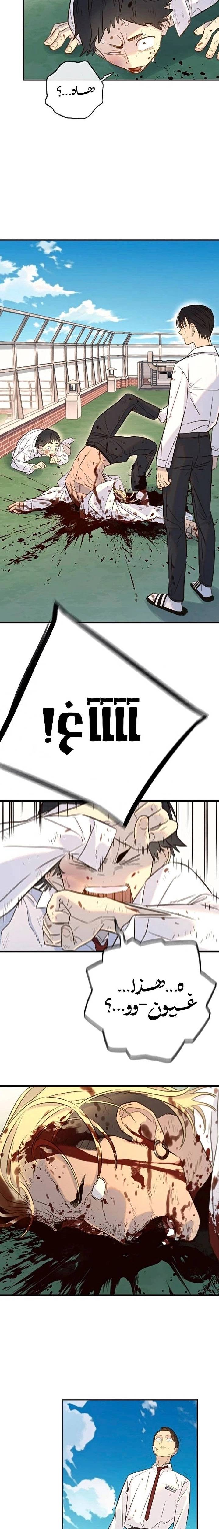 الصفحة 19