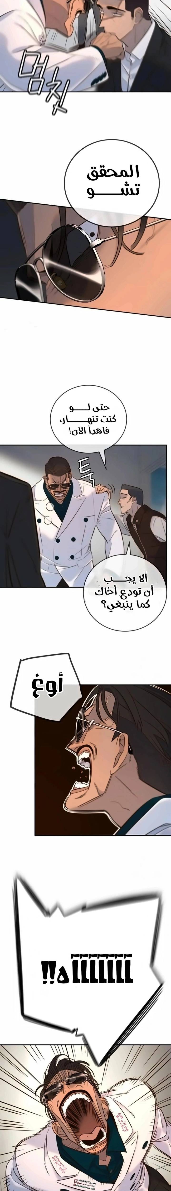 الصفحة 17