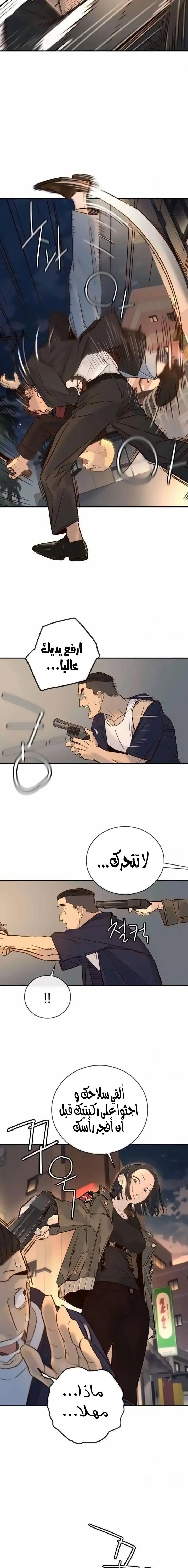 الصفحة 17
