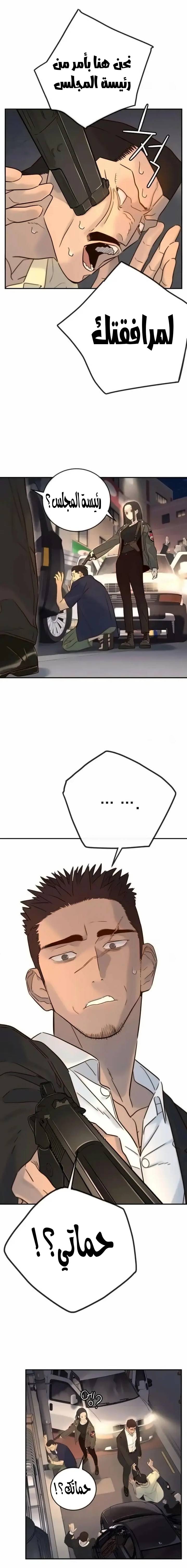 الصفحة 19