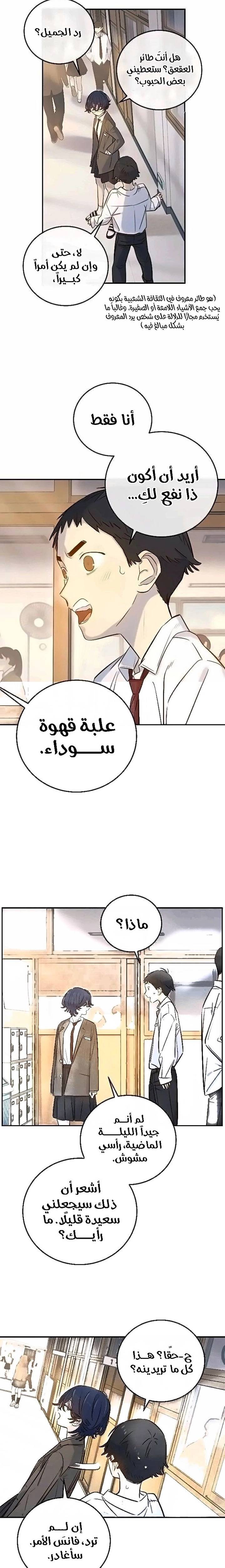 الصفحة 19
