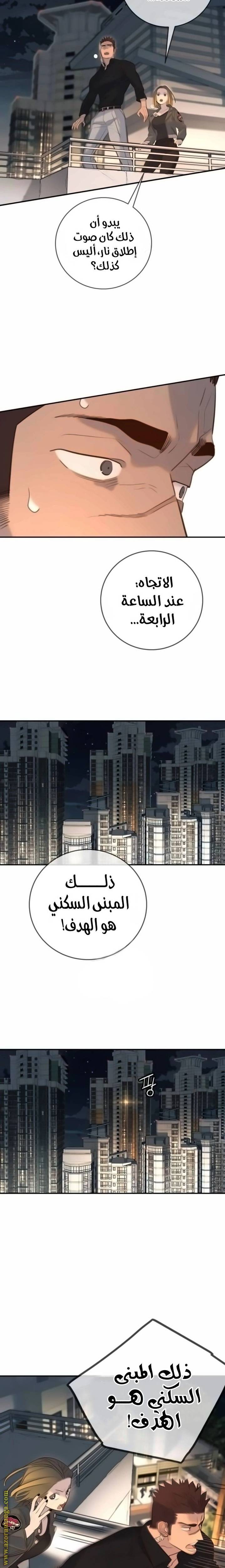 الصفحة 17