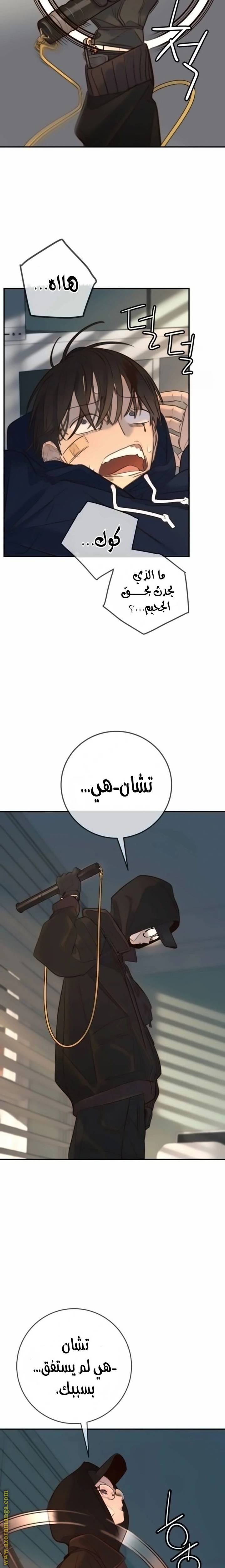 الصفحة 19