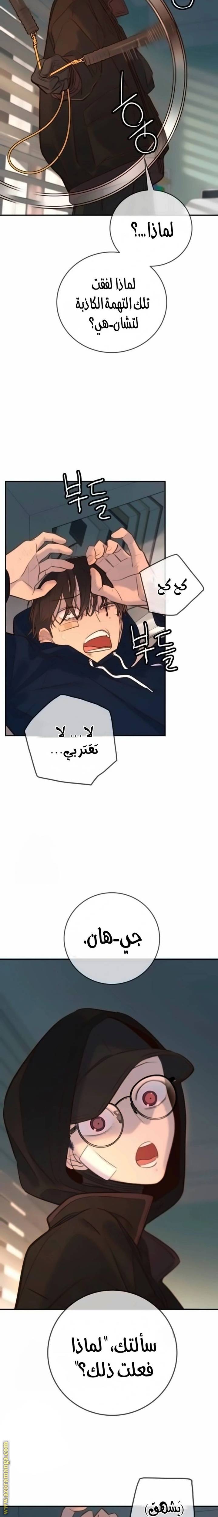 الصفحة 20