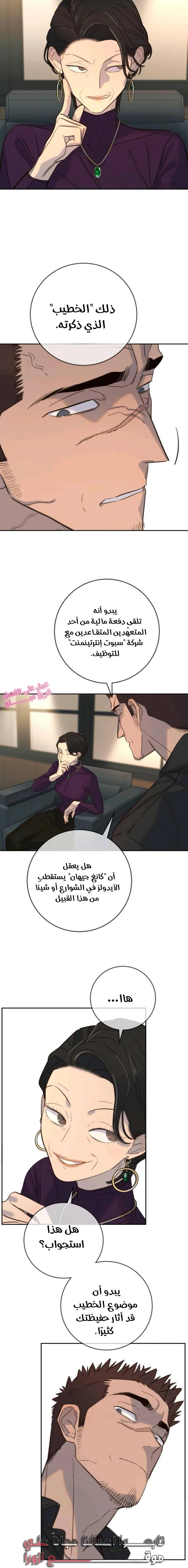 الصفحة 13
