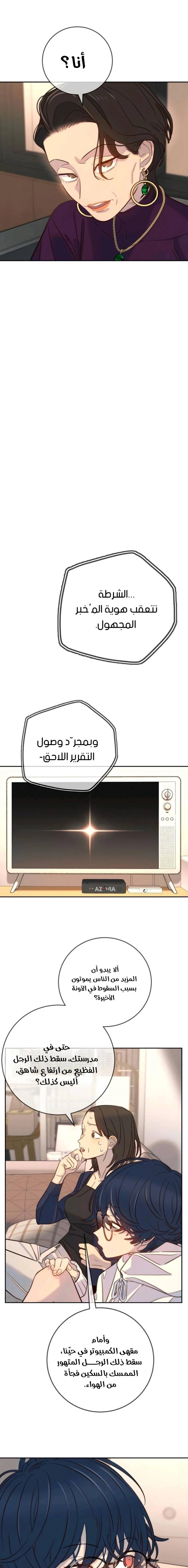 الصفحة 17