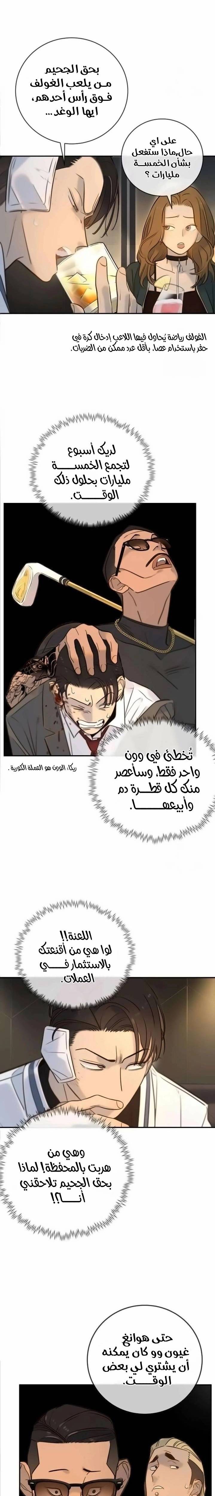 الصفحة 17