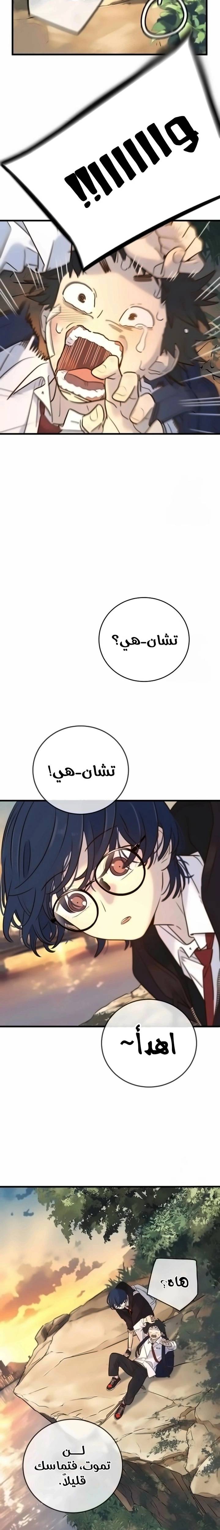 الصفحة 3