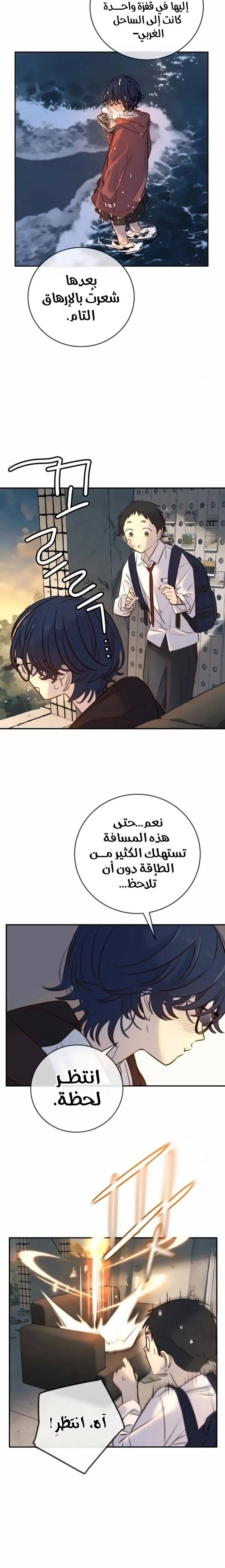 الصفحة 17