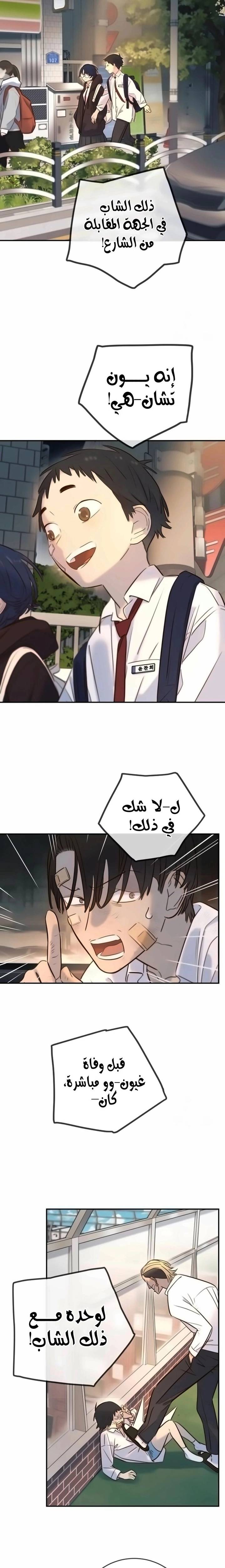 الصفحة 29
