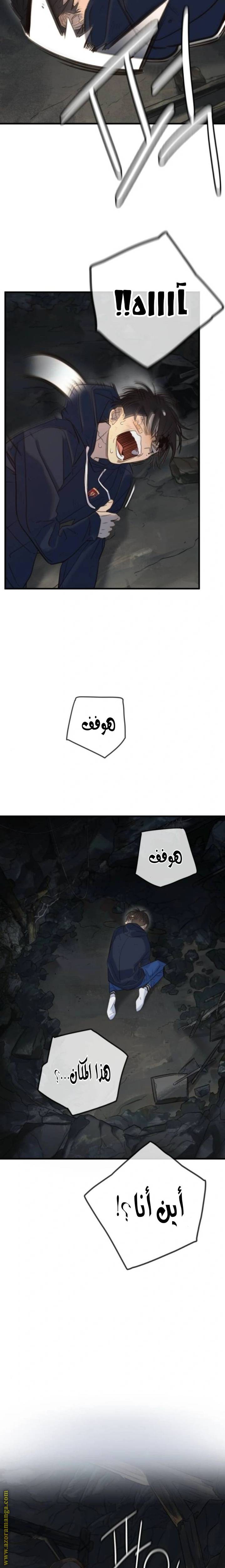 الصفحة 8