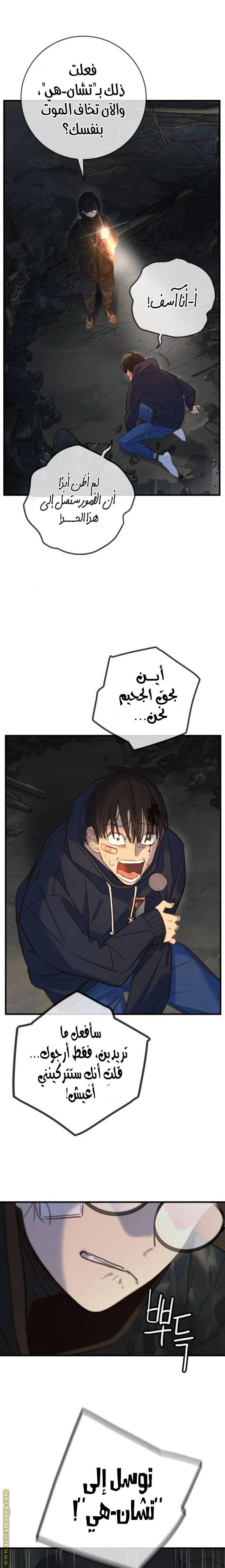 الصفحة 10