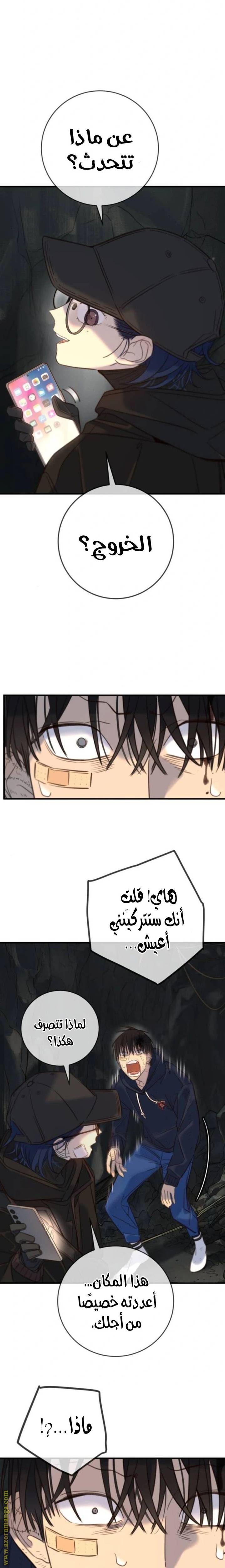 الصفحة 14