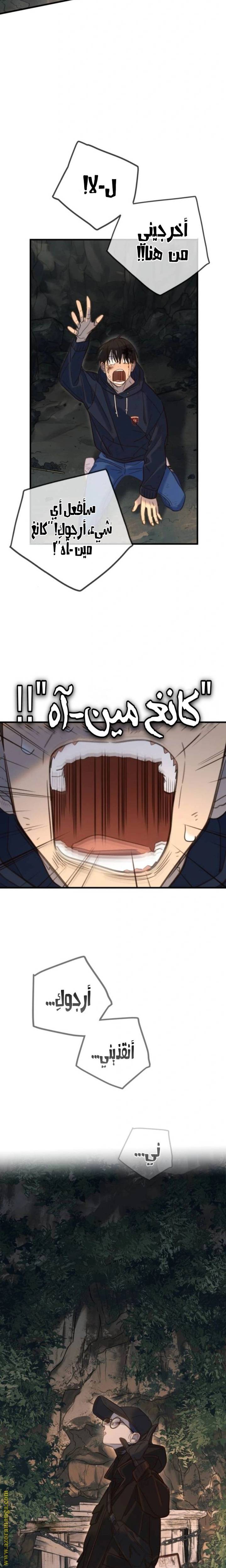 الصفحة 18