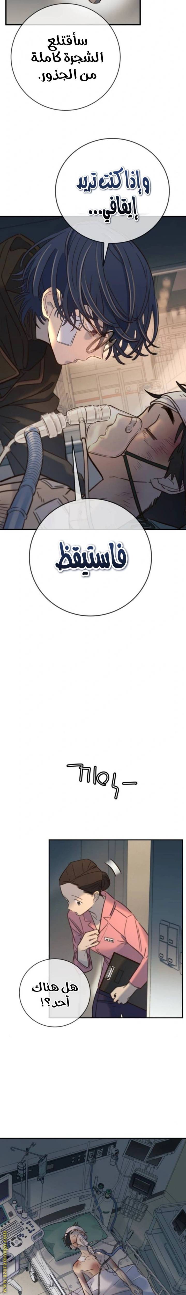 الصفحة 21