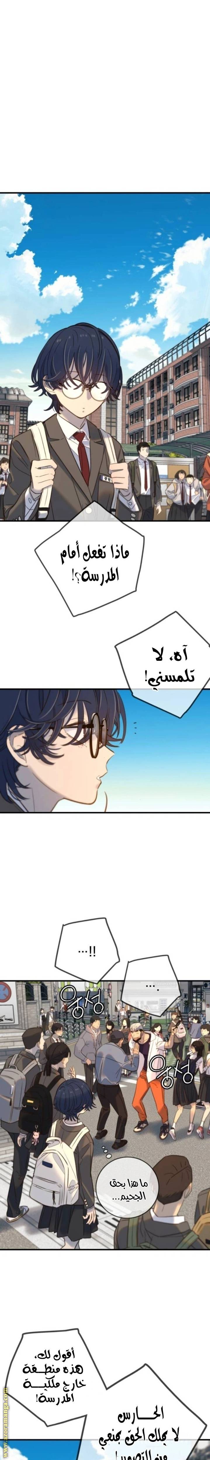 الصفحة 24
