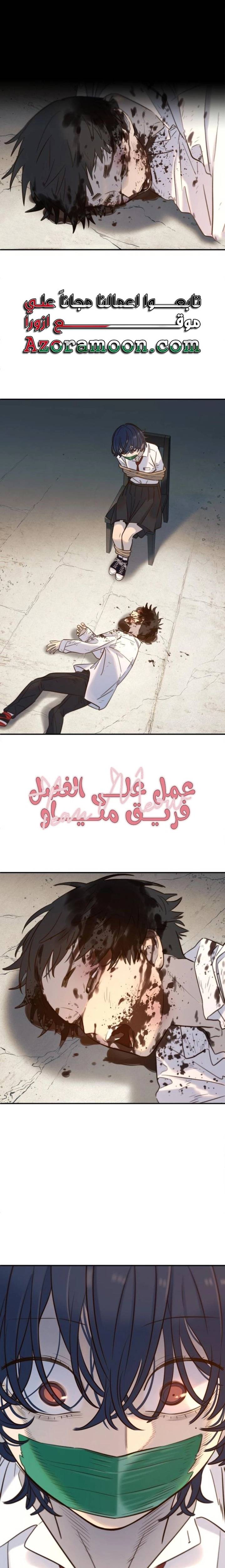 الصفحة 17