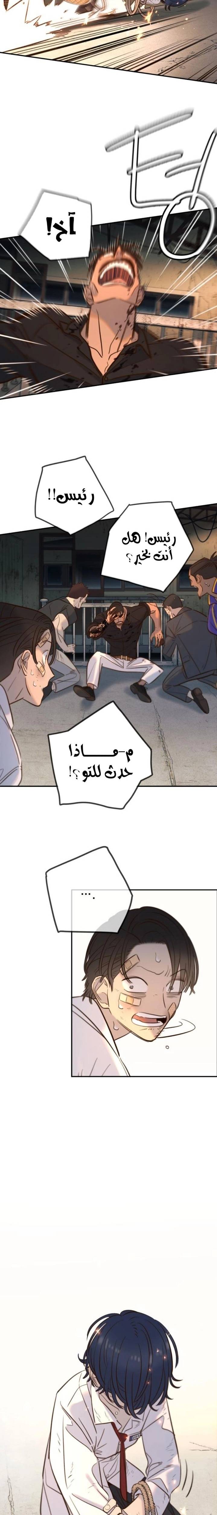 الصفحة 23