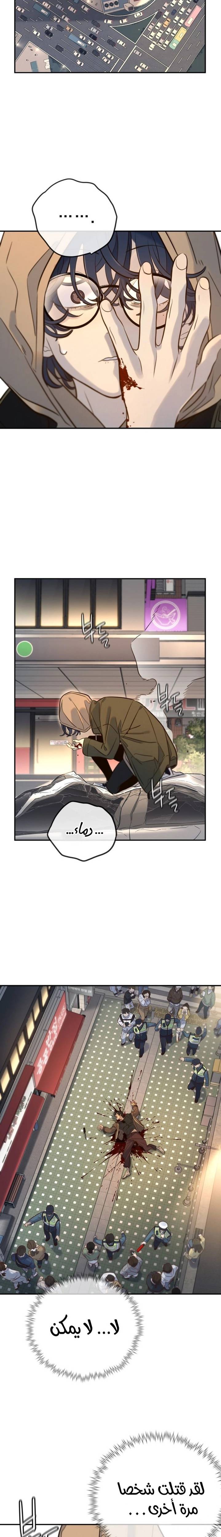 الصفحة 17