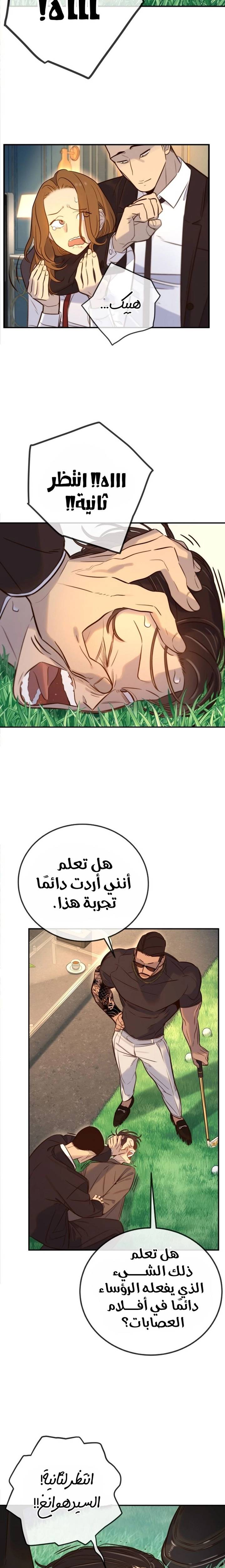 الصفحة 25