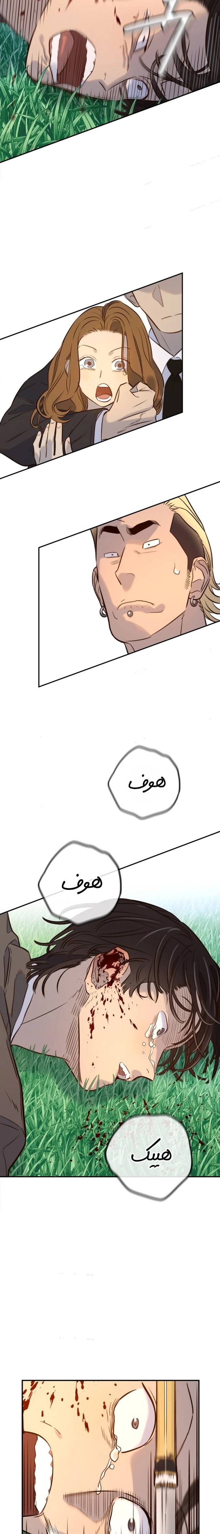 الصفحة 27