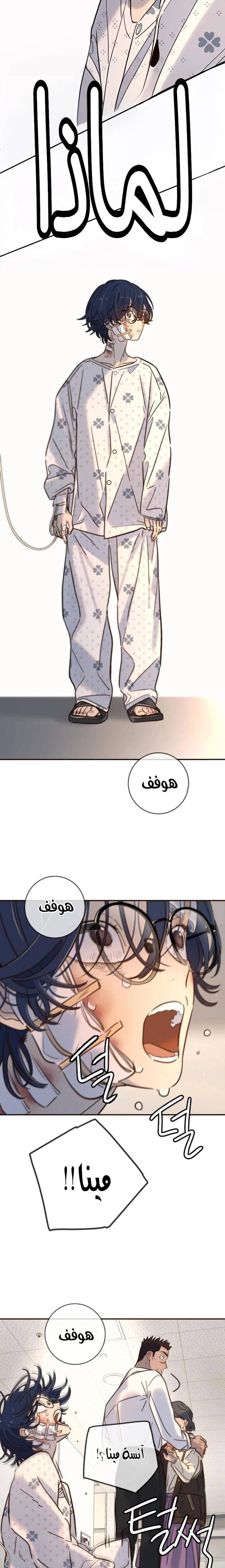 الصفحة 19