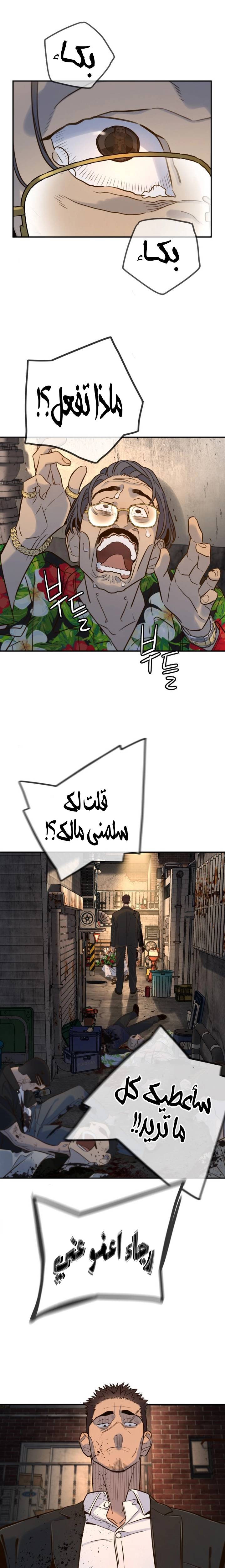 الصفحة 29