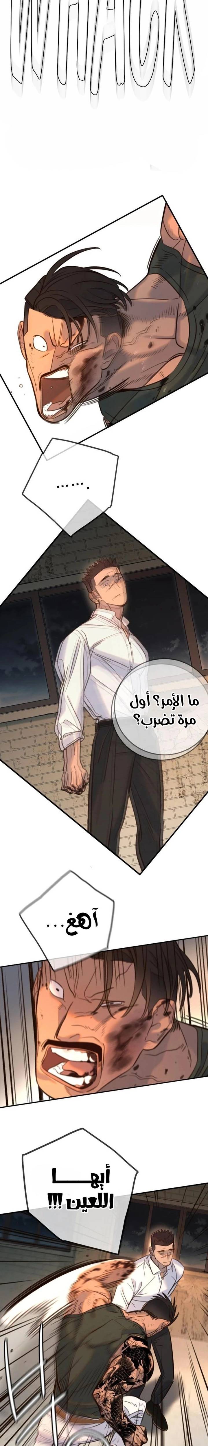 الصفحة 11