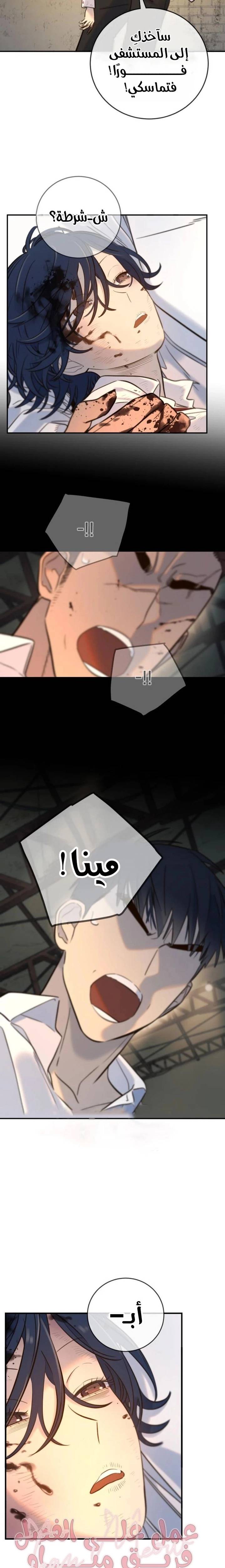 الصفحة 17
