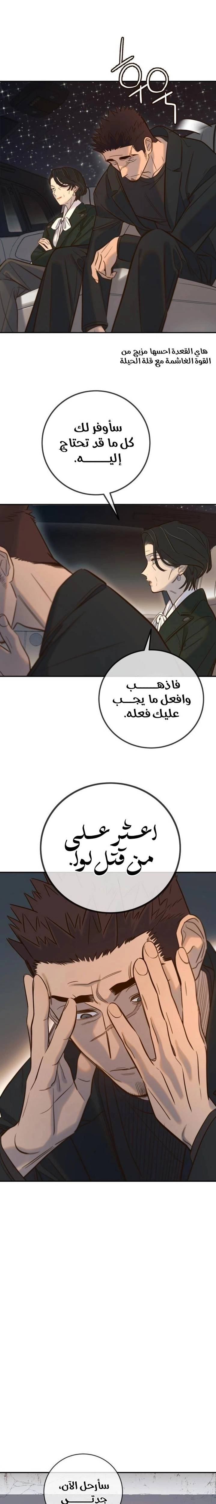 الصفحة 13