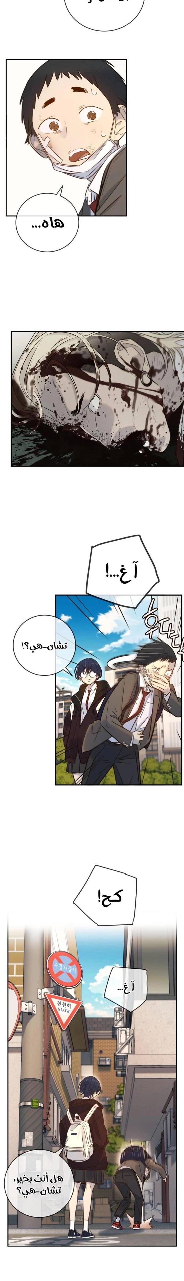 الصفحة 16