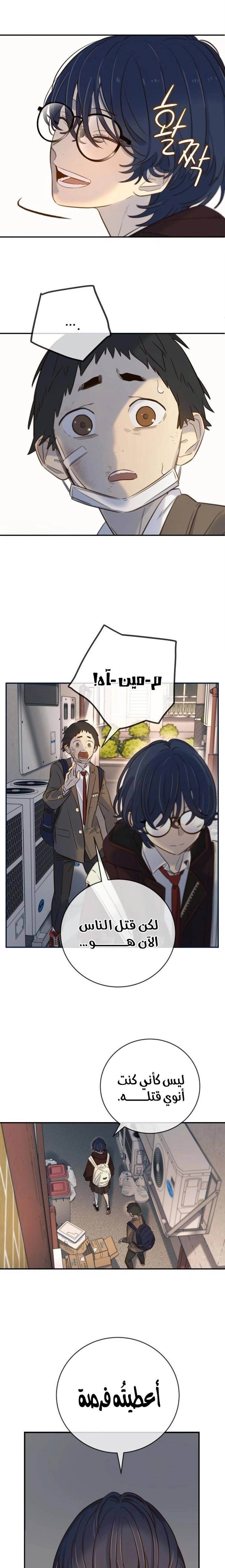 الصفحة 19