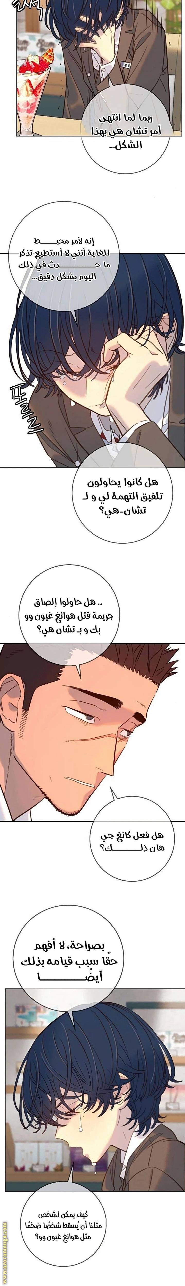 الصفحة 17