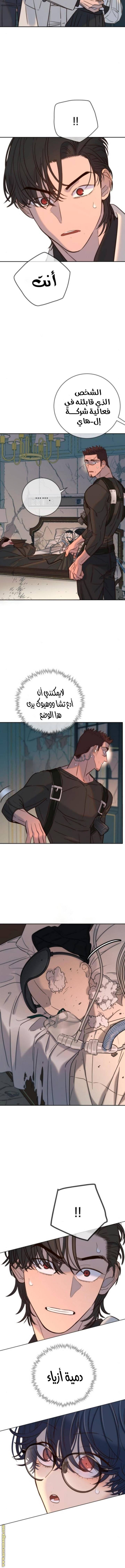الصفحة 5