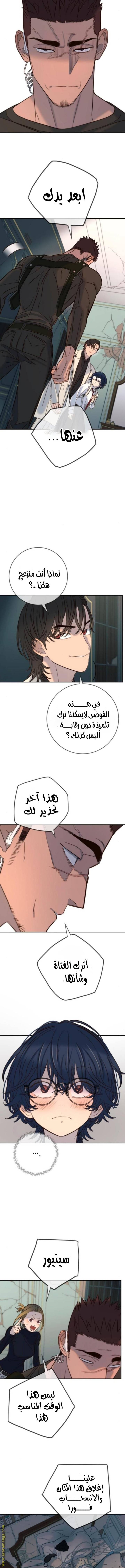 الصفحة 13