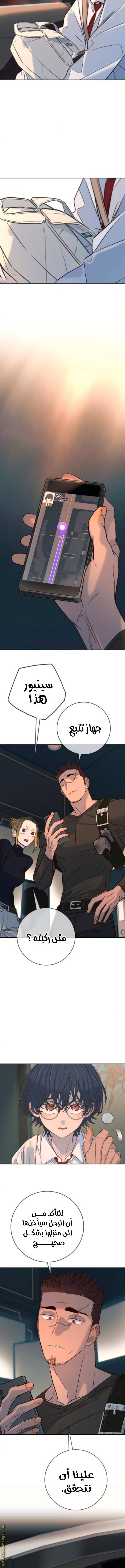 الصفحة 17