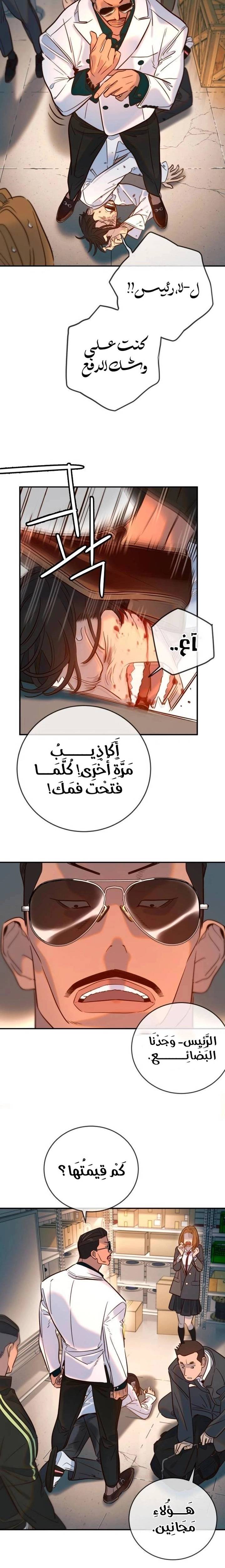 الصفحة 13