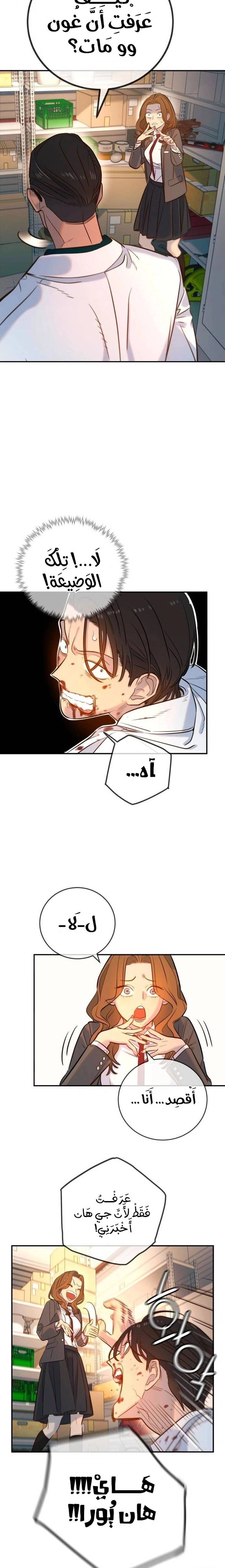 الصفحة 17